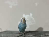 Kolaylıkla Konuşturabileceğiniz Bebek Muhabbet