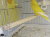 Her tür muhabbet kime ne lazımsa