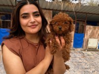 Kıvır Kıvır Kore Poodle Bebekler