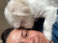 Sevimli cins köpekler