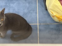 2 yaşında sişi yavrumuza yuva arıypruz