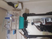3 muhabbet 1 yaşında, 6 aylık, 3 aylık kuşumuz