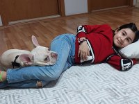 1 YAŞINDA SECERELİ GEN TESTİ VAR FRENCH BULLDOG