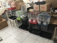 Üç yemlikli sıfır kafesler
