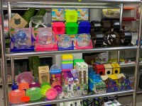TÜM PETSHOP'LARA HAMSTER BURADAN ÇIKIYOR