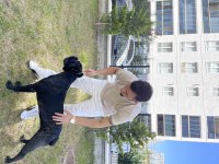 CANE CORSO BRİNDLE