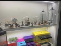 ANTALYA AKVARYUM TEMİZLİĞİ YAPILIR