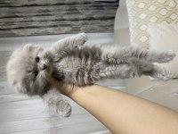 Güzelliklerime yuva arıyorum