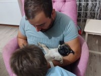 2 aylık pug