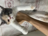 EXOLAR YENİ EVLERİNE GİTMEYE HAZIR