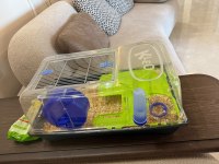 ÜCRETSİZ 2 ADET HAMSTER