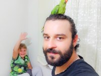 3 aylık yavru Pakistan papağanları