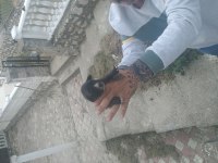 Orjinal Kangal Buca Kaynaklar