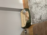 3 Aylık Dişi Golden Retriever