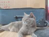KEDİM UMAY İÇİN YENİ YUVA ARIYOR