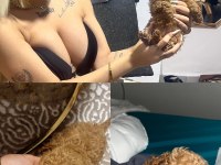 Tea cup poodle ırk garantili