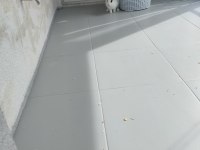 TUVALET EĞİTİMLİ TAVŞAN