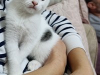 PRENSES KEDİMİZİN ŞANSI DÖNSÜN