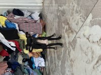 Şivava 3.5 aylık