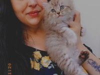BRİTİSH LONGHAİR YAVRULARIMIZ