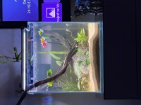 35*35*35 nano akvaryum ultra clear cam özel