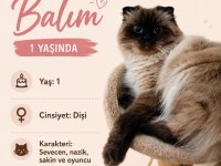 Himan Kızımız Bir Yaşında