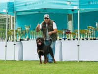 Rottweiler von baboş
