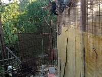 Sekiz adet renkli posta sağlıklı