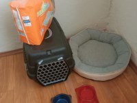 Fransız bulldog köpeğimiz