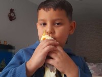 Sağlıklı ev beslemesi sultan papağanım