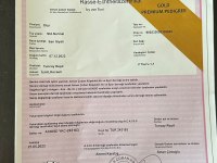 2 YAŞINDA EĞİTİMLİ A ŞECERELİ DİŞİ ALMAN KURDU