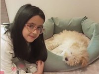 Eğlenceli 5 aylık dişi maltipoo