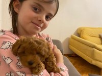 Efsane poodle yavrumuz