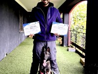 Belçika kurdu (Malinois) yavrularımız