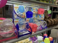 Isırma yapmayan yavru hamster en uygun bizde