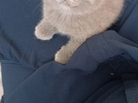 Görünce hayran kalacağınız tatlı mı tatlı yavrumuz!