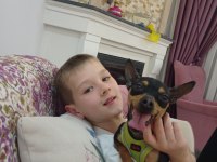 Sıfır numara pinscher orjinal