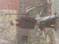 Rottweiler uygun dişi