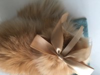 dişi iran kedimize acil yuva arıyoruz