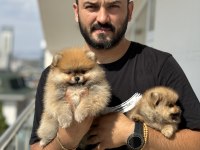 Leo Meo booo yavrular sizleri bekliyor