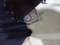 Satılık muhabbet kuşları ve kafesleri