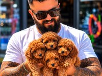 İnstagram Cagri.cemcem