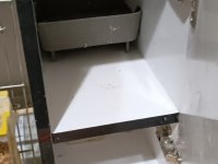 Sultan papağanı 3 adet