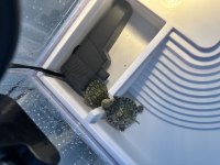 2 Su Kaplumbağası Tam Donanımlı Akvaryum Seti