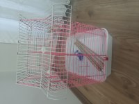 Kafes içindekilerle beraber