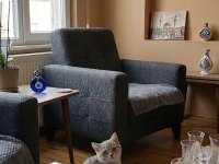 BAKMADAN GEÇMEYİN YAVRU KEDİLERİMİZE