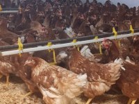 Yarka satışlarımız devam ediyor