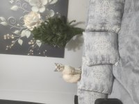 Ücretsiz sahiplendirme scottish fold kedimiz
