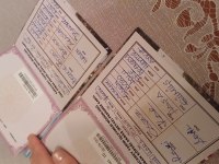 5 nesil soyu belli akbaş daha saf kanı yok idda ediyorum