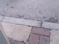 Kayıp köpek ilanı